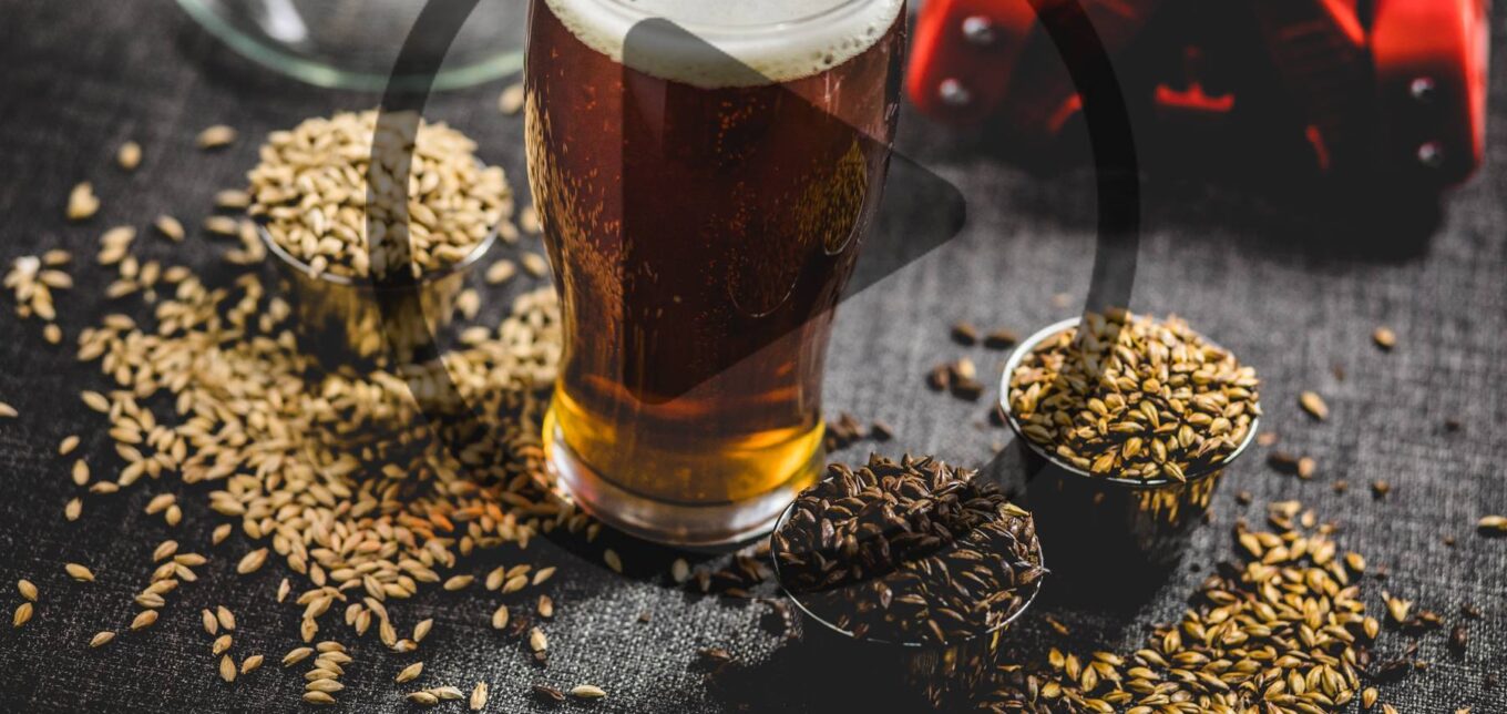 Ep. 76 Conversations on Home Brewing and the History of Beer – Mother Earth News - Vimarsana News